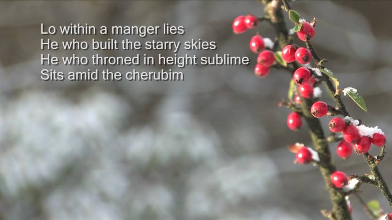 See amid the winters snow