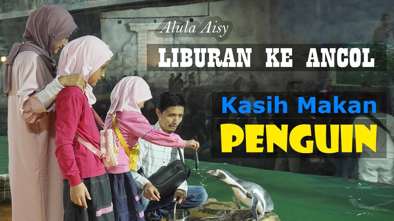 Alula Aisy main ke Ancol lihat singa laut (seru banget)