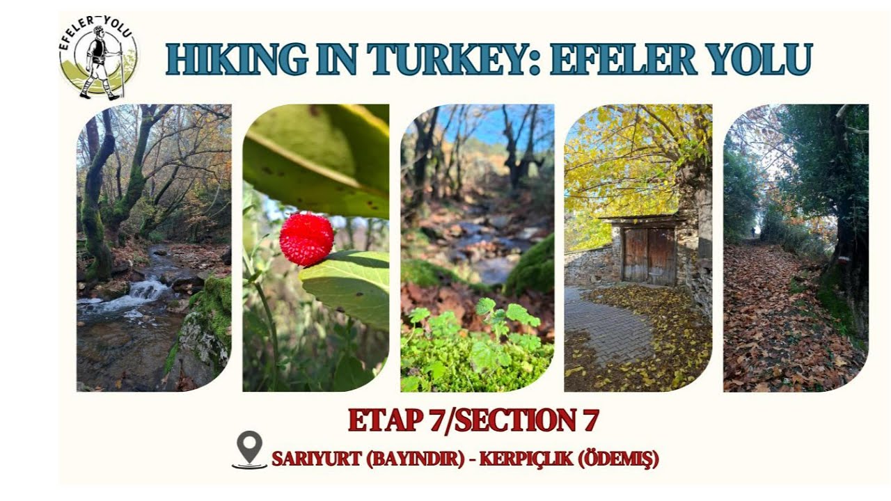 Turkey's best trekking trail in Autumn: Efeler trail-Section 7- Dec.2025