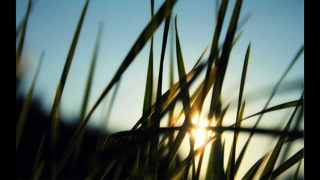 Miroslav Vrlik - See The Sun (original mix)