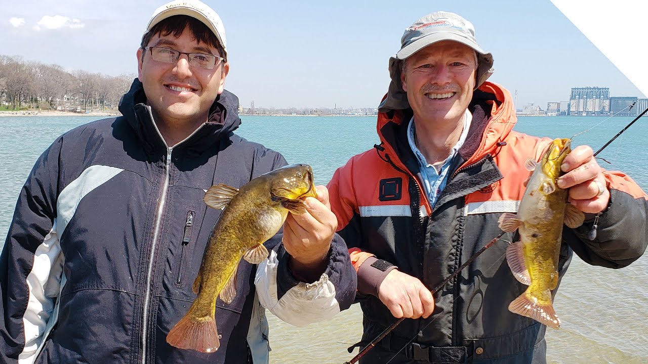 Bullhead Catfish, Shore Fishing | Boatless Angler