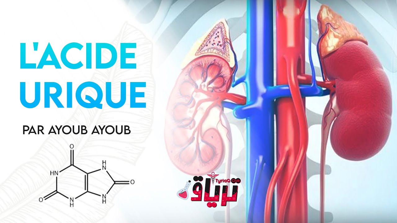 #Biochimie: l'acide urique en 15 min Par AYOUB