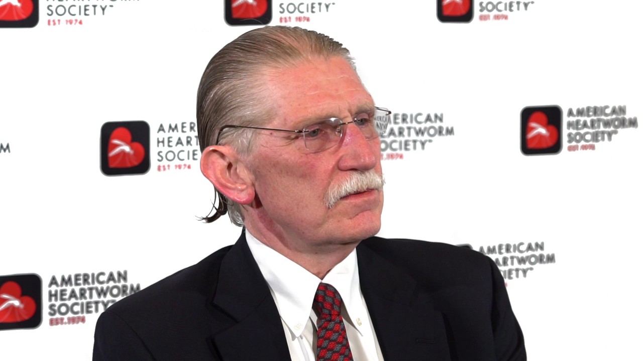 Why not treat heartworm-infected dogs with doxycycline prior to melarsomine?