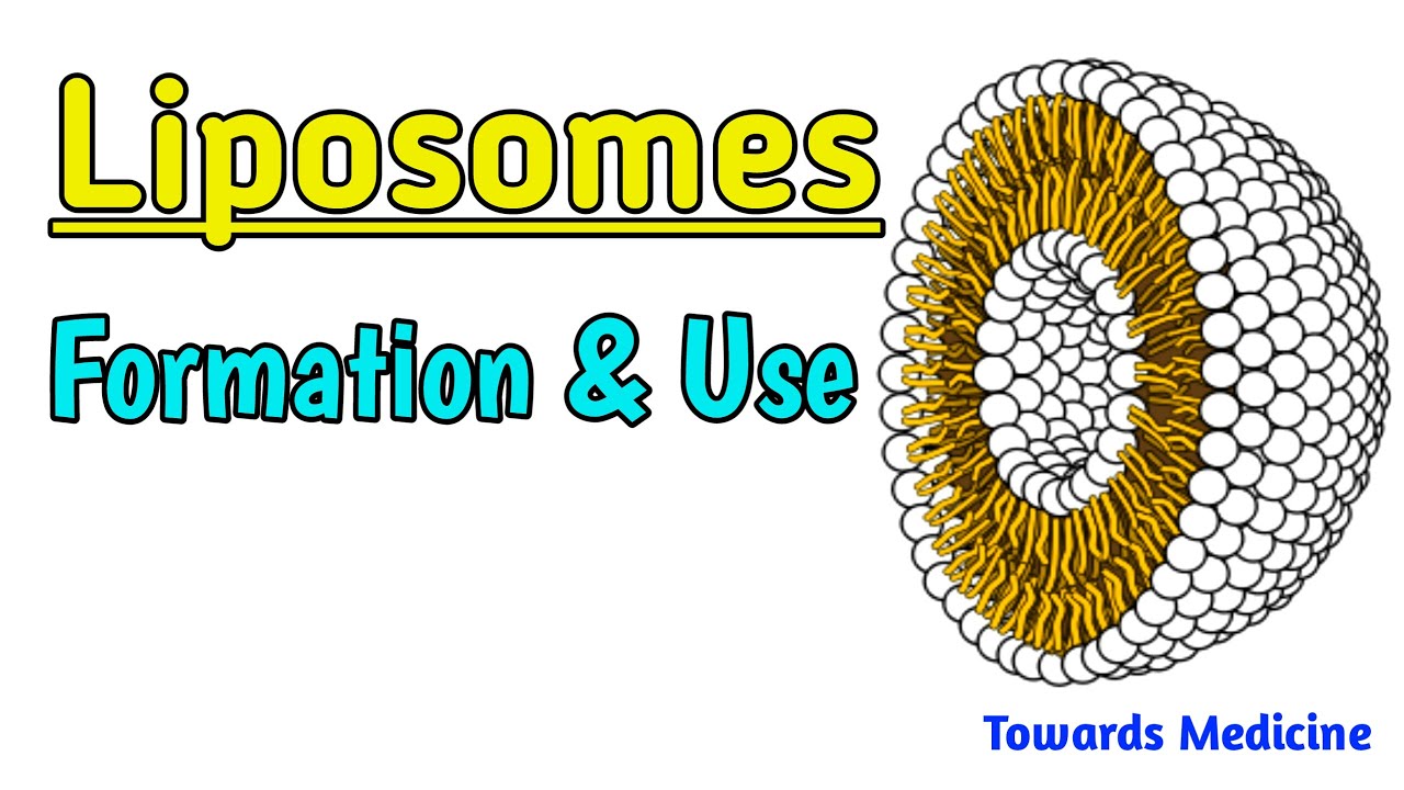 Liposomes || How liposomes are formed|| Use of Liposomes || Types of liposomes
