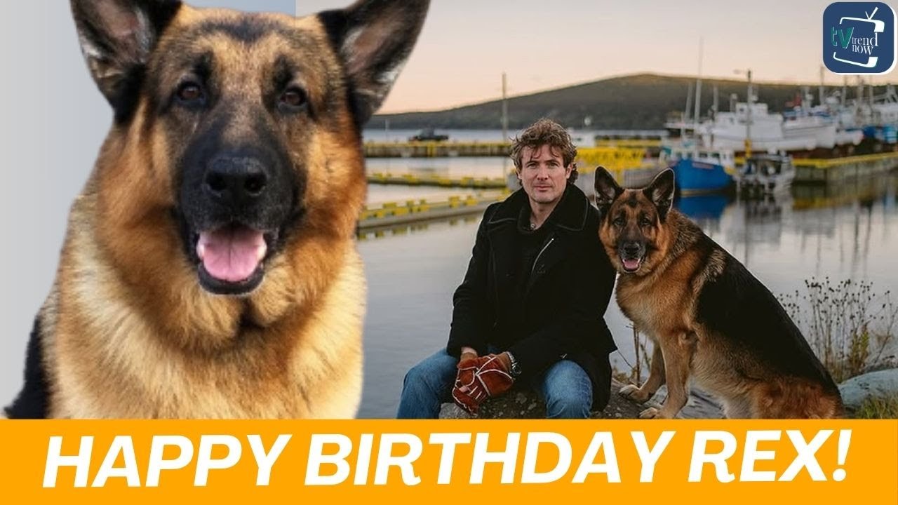 Special Tribute to Late Rex on His Birthday | Hudson & Rex