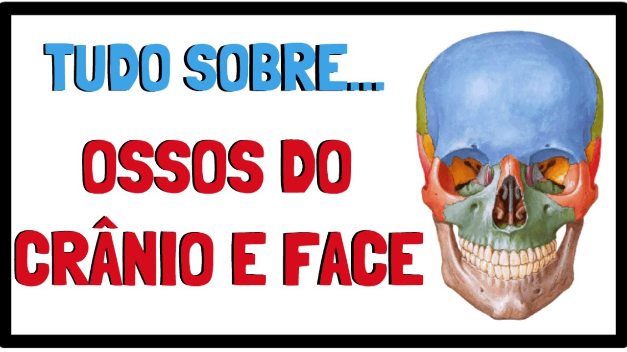 OSSOS DO CRÂNIO | Tudo o que você precisa saber sobre os ossos da cabeça | Resumo animado
