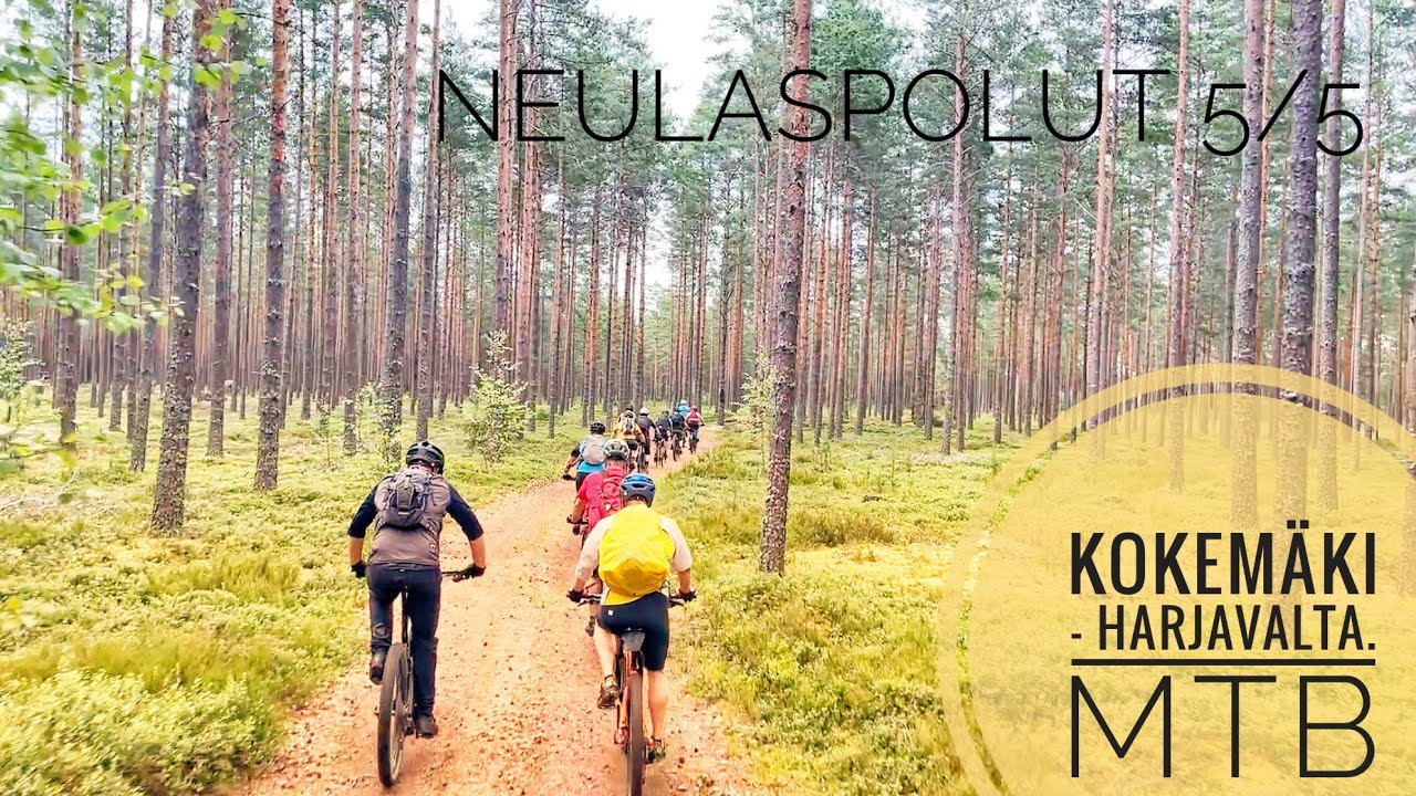 Kokemäki - Harjavalta. Neulaspolut. 💎 #mtb