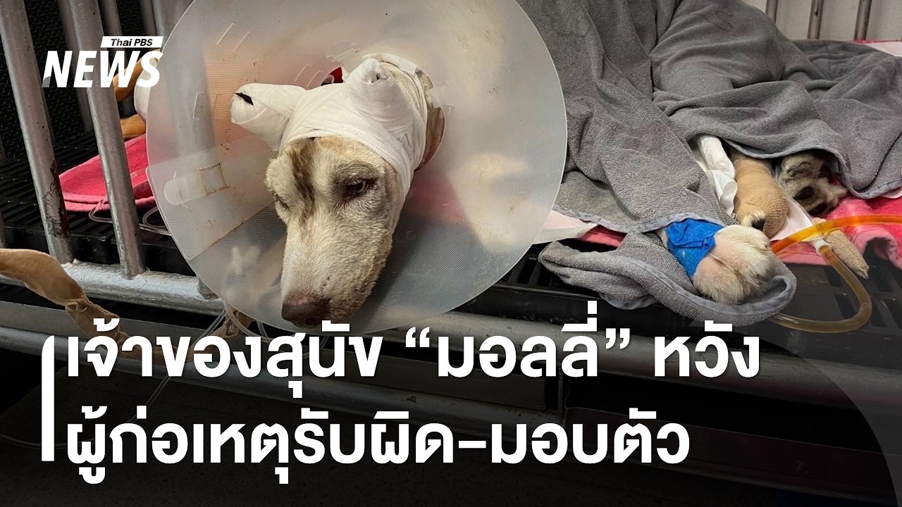 เจ้าของสุนัข 