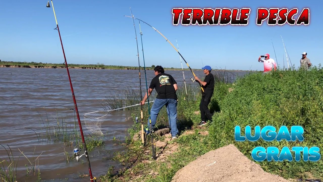 MAS PESCADO QUE AGUA,EN LA CIUDAD DE BARADERO / SURUBI /DORADO /TARUCHONES /BOGAS /CARPAS/MONCHOLOS.