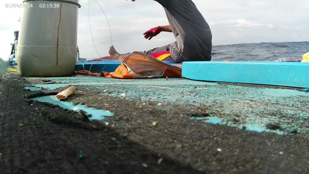 Catching tuna in Papua’s waters amid extreme weather