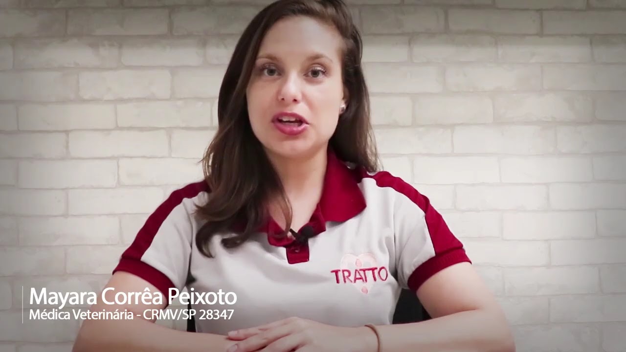 Tratto Standard &ndash; Nutri&ccedil;&atilde;o Essencial para o Dia a Dia do Seu C&atilde;o!