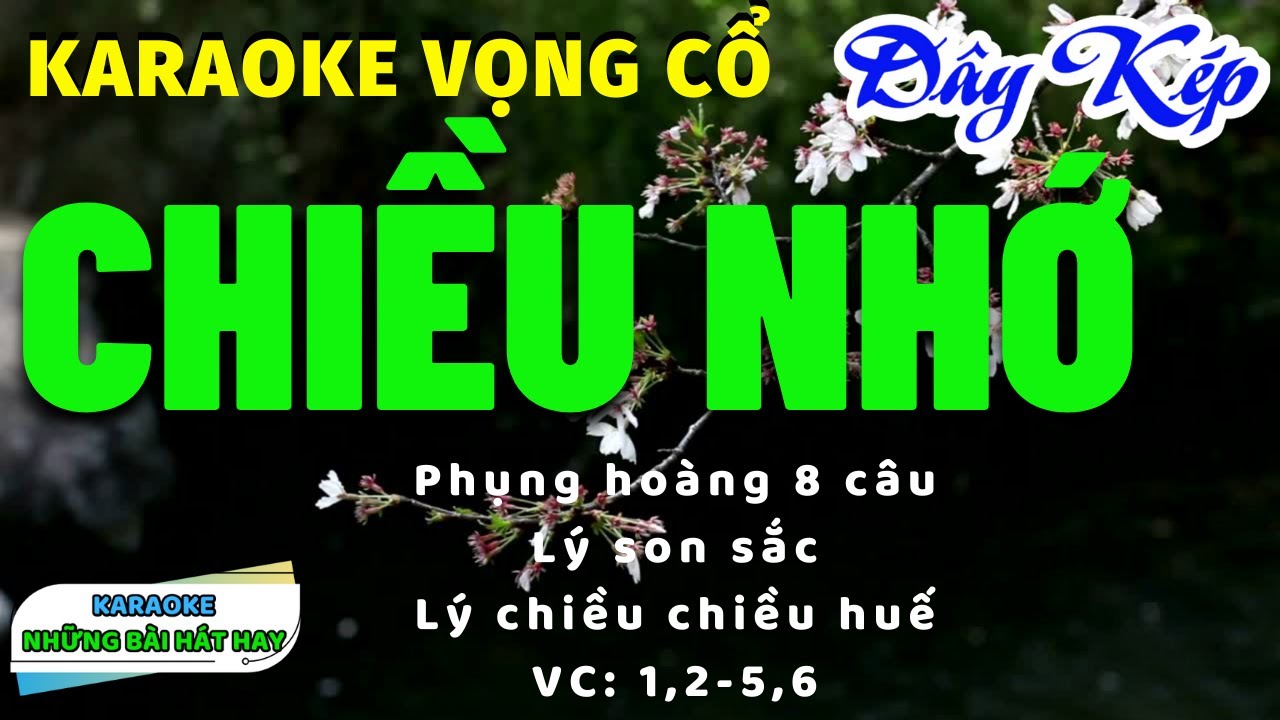 Karaoke Vọng Cổ Chiều Nhớ I Dây Kép I Karaoke những bài hát hay