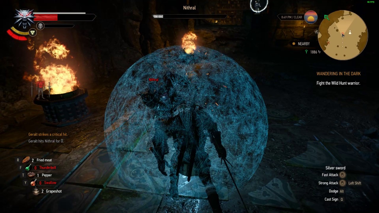The Witcher 