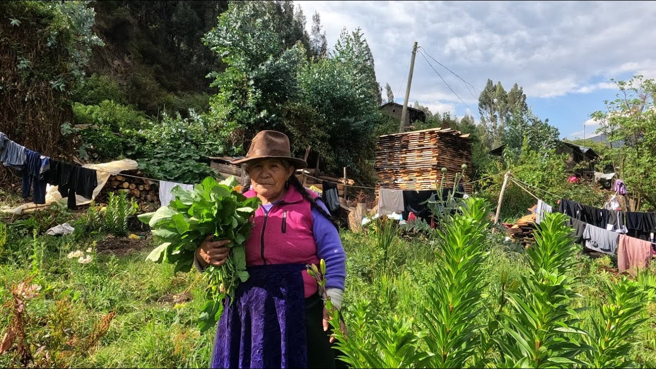 COMIDA DE LOS INCAS NATURAL Y ORGÁNICO DE la chacra ala olla