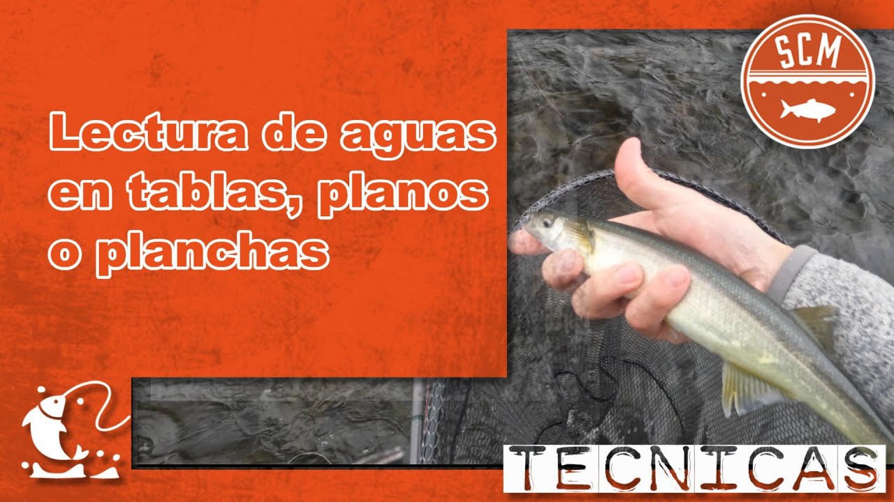 Lectura de aguas: tablas, planchas o planos en un río