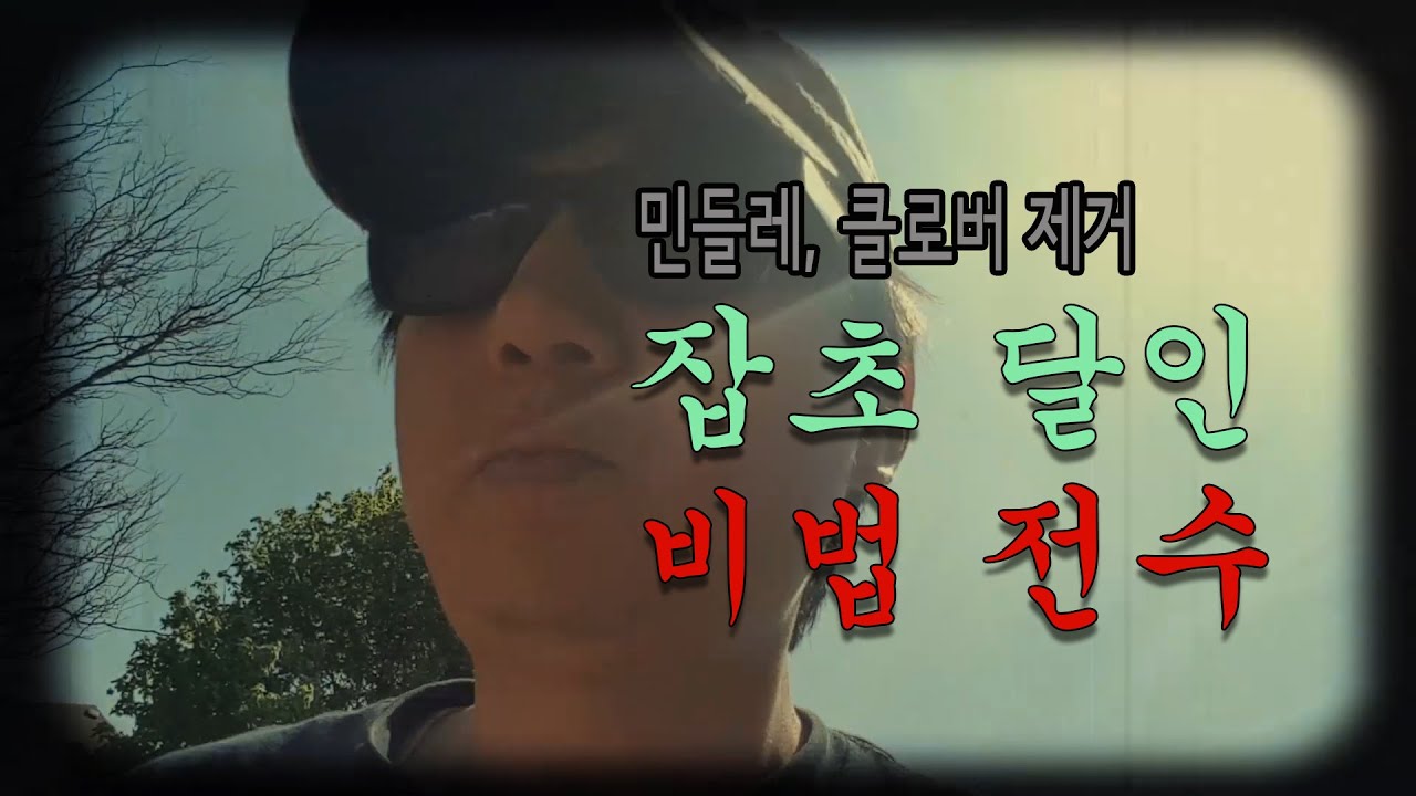 민들레, 클로버 제거 - 잡초 달인 비법 전수