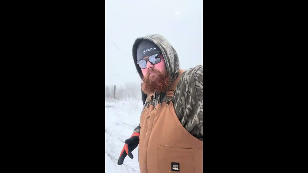 Now we have snow! Let’s clean it off the greenhouses. 