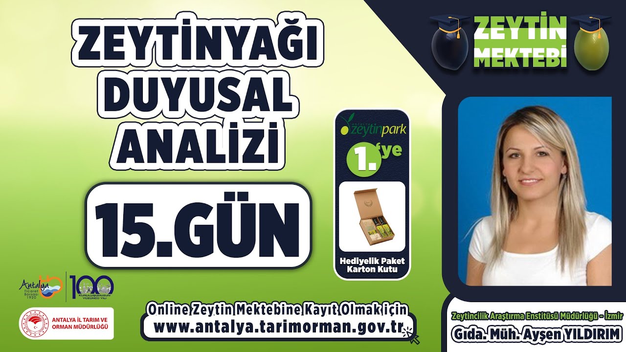 Zeytinyağı Duyusal Analizi 15.Gün
