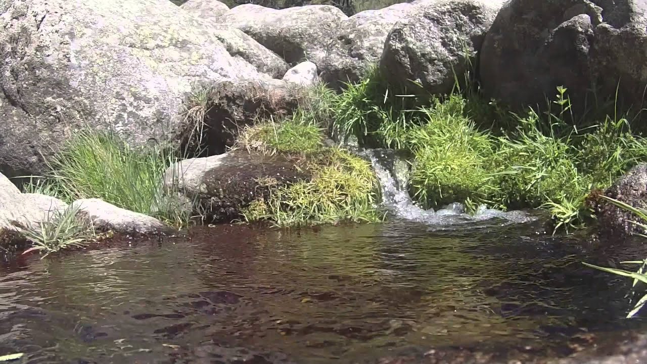 CASA RURAL ENTREGREDOS  , GUISANDO , ÁVILA  ,  PUEBLO Y ENTORNO,