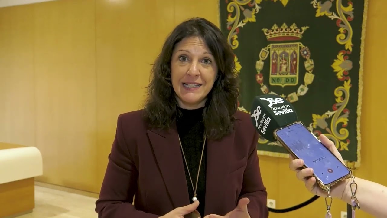 PLENO ORDINARIO ENERO DIPUTACIÓN DE SEVILLA