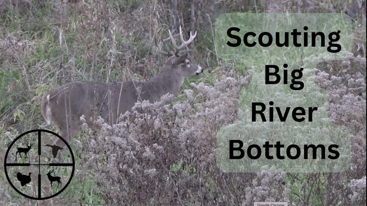 Scouting A Big Public Land River Bottom...Found the Right Tree!