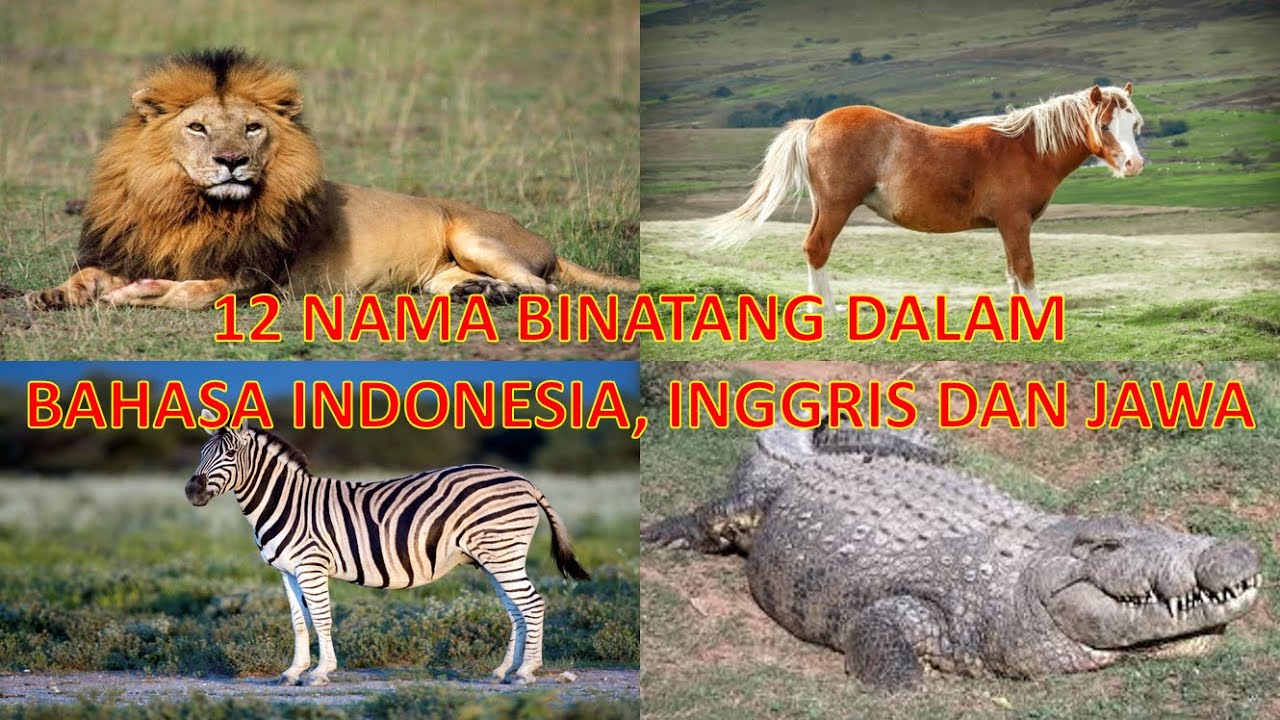 Nama Nama Binatang Dalam Bahasa Inggris, Bahasa Indonesia, Bahasa Jawa, Singa, Harimau, Buaya, Ular