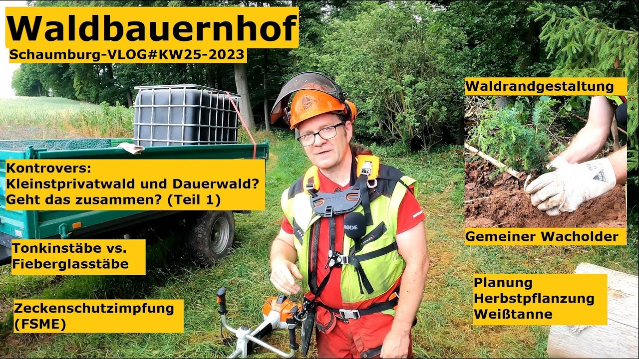 Waldbauerbericht: Waldrandgestaltung mit Wacholder, Tonkinstäbe, Zecken-Impfung