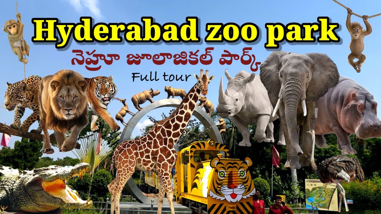 Hyderabad Nehru zoo park | full tour details | jungle safari | Nehru zoological park | 1 day trip |