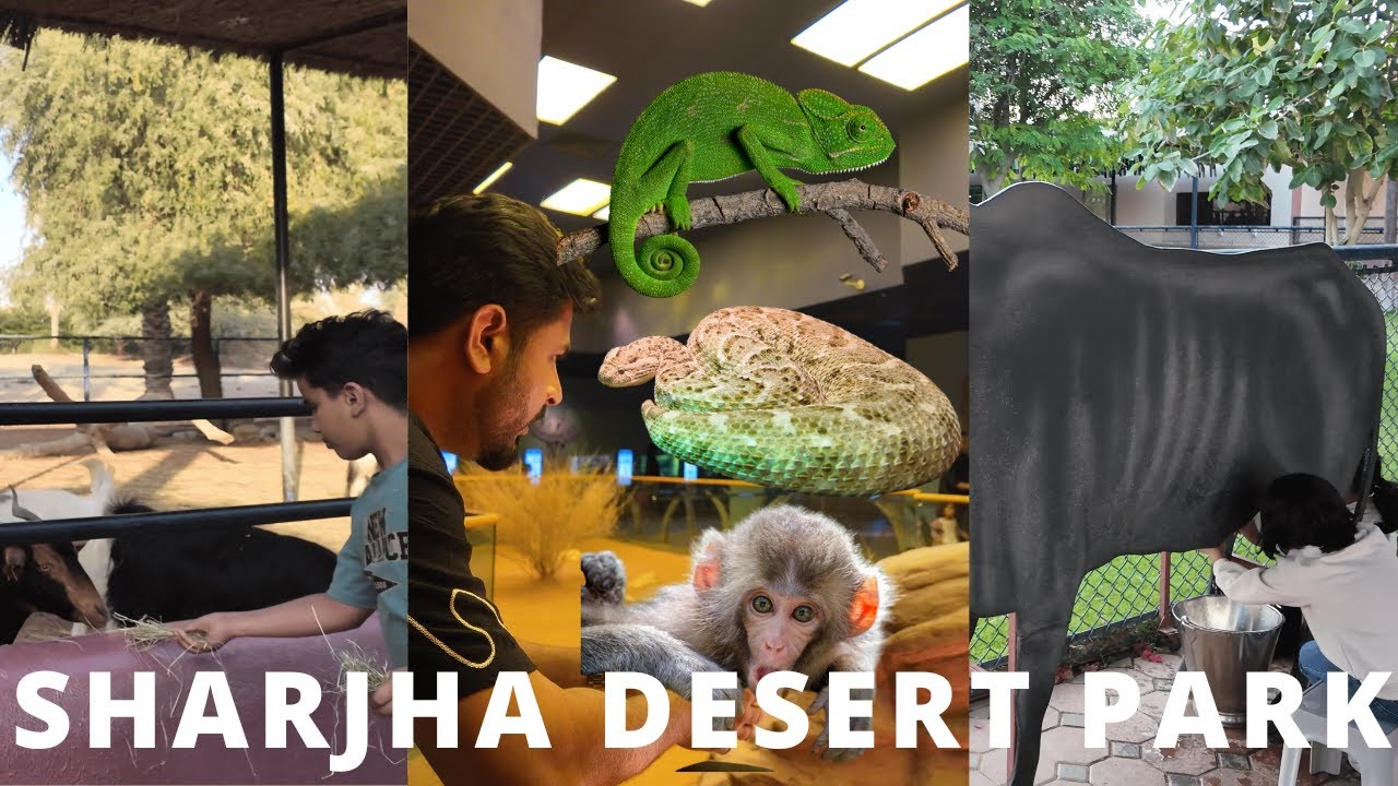 You Won’t Believe What’s Inside Sharjah Desert Park! (Kids Farm + Wildlife Center + Museum)