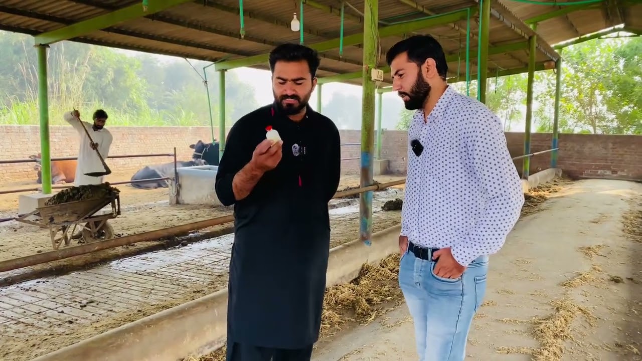“⚠️ FMD Vaccine Explained by Dr. Arham | The Truth Every Farmer Must Know!”