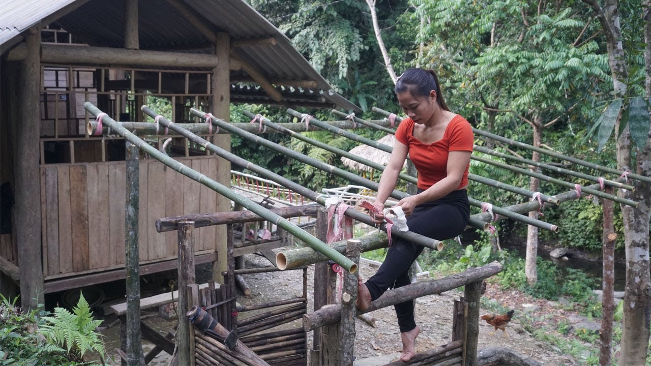 Build a roof to protect the well and bathroom - Single mother alone in the forest