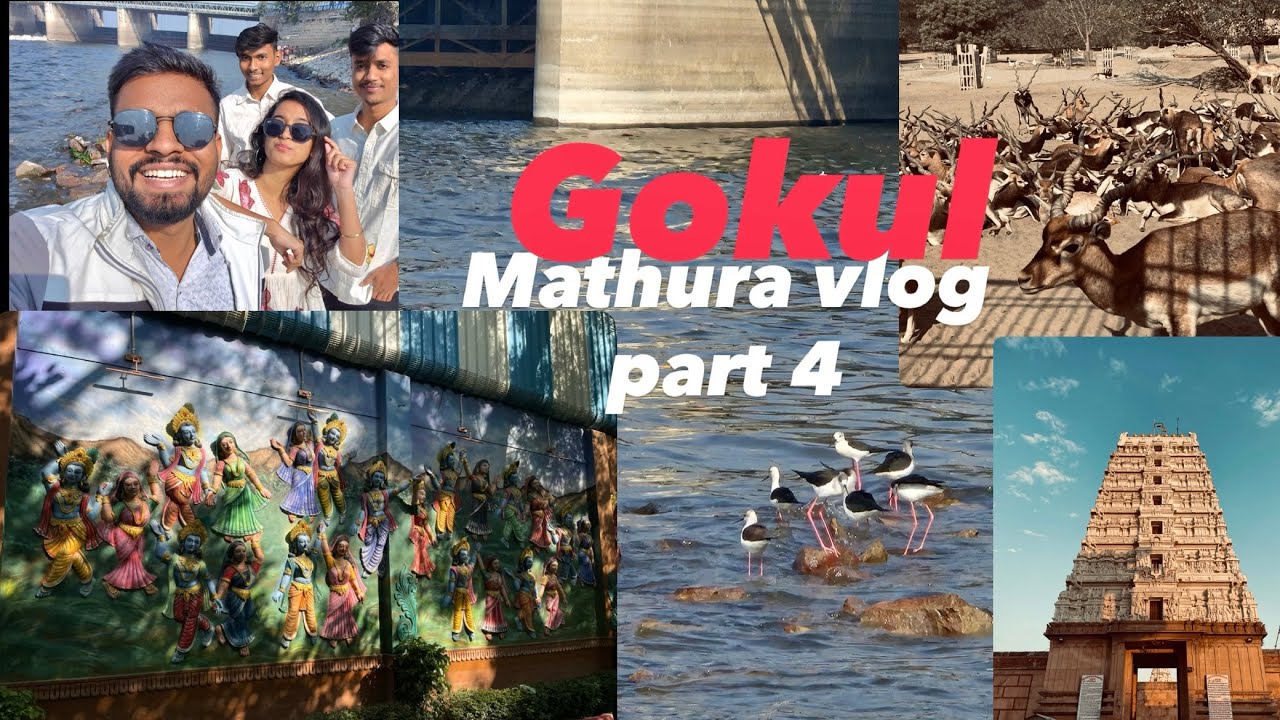 Mathura trip vlog (part 4) [gokul] 🩵