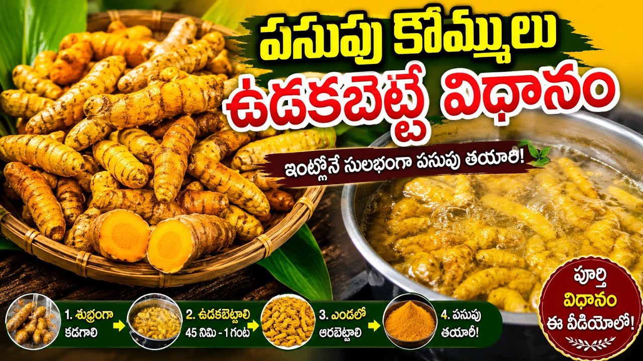 ఓం నమఃశివాయ  is live
