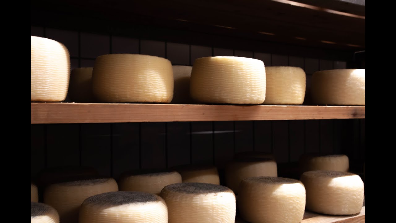Il pecorino Crotonese primo formaggio Dop della Calabria