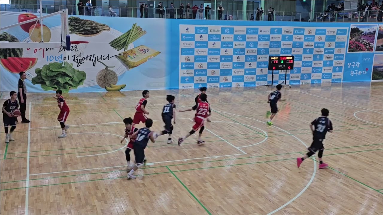 양구사과배 u11 강동SK vs 구리KCC 예선2경기