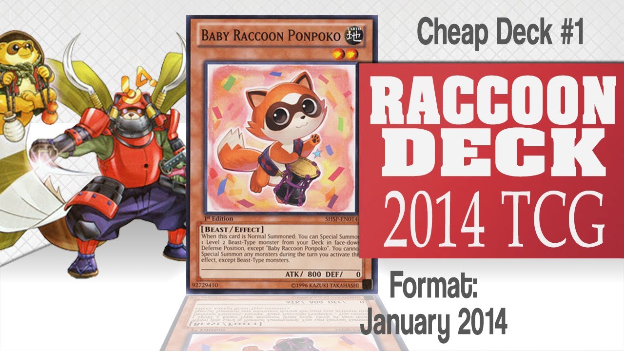 Deck Econ&oacute;mico (Cheap Decks) #1 - Raccoon Deck [Duels & Decklist] TCG Enero 2014 (Yu-Gi-Oh!)