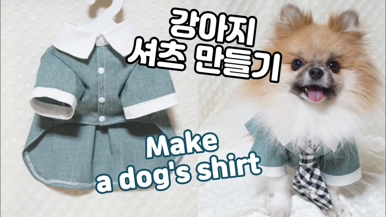 sub) 강아지 와이셔츠 만들기 와이셔츠칼라 박음질 하는 법