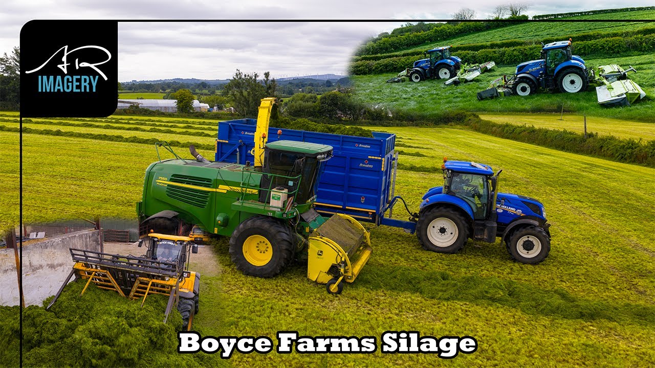 What does it take to Feed 190 Cows & Followers? Boyce Farms Second Cut Silage