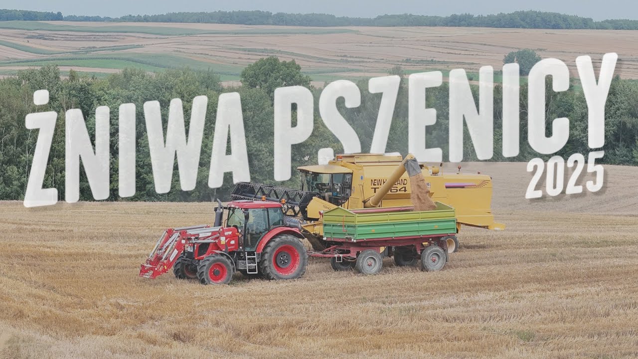 MOKRE ŻNIWA PSZENICY 2025! ZAKOPANY TX? @AgroFilNas