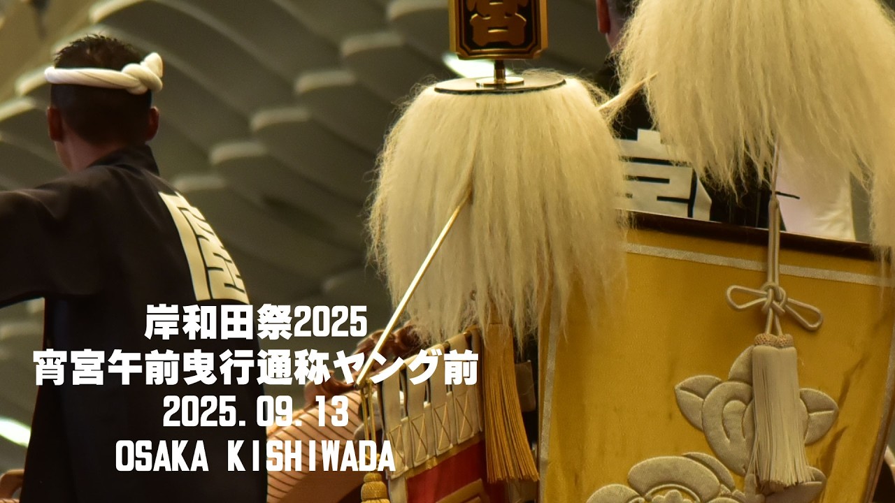 岸和田祭2025宵宮午前曳行通称ヤング前2025.09.13│OSAKA KISHIWADA