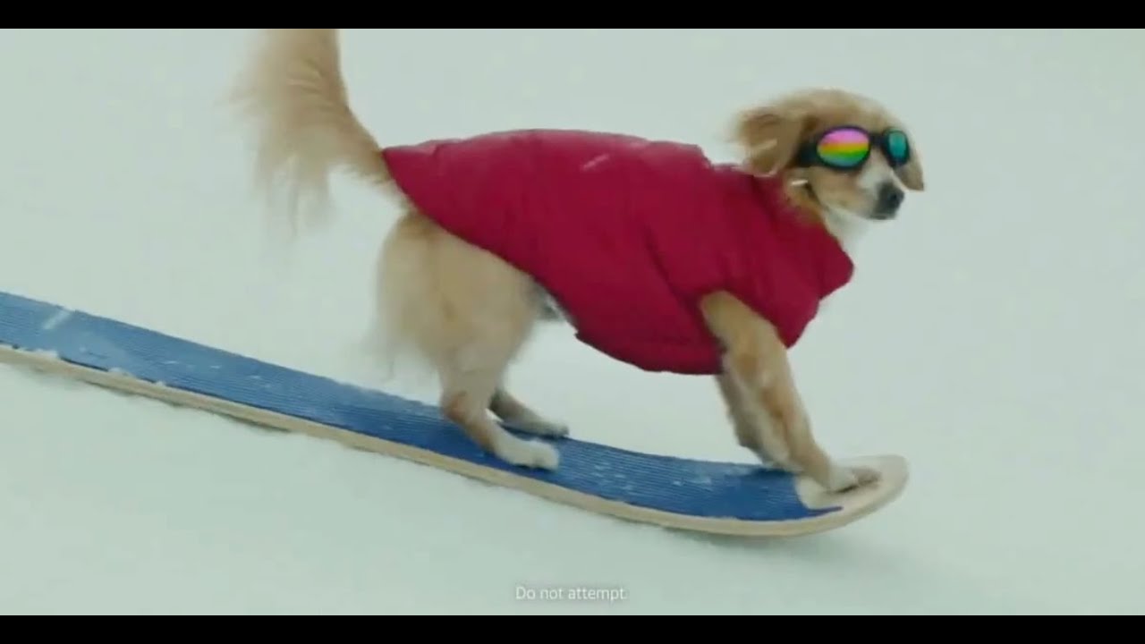 Amazon Rufus Rips TV Commercial