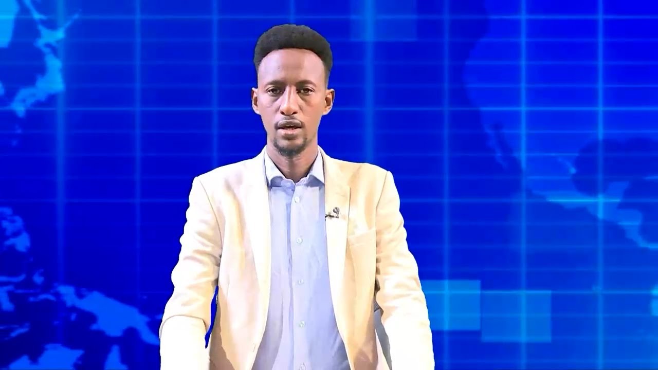 Warka Universal TV 10 10 2025