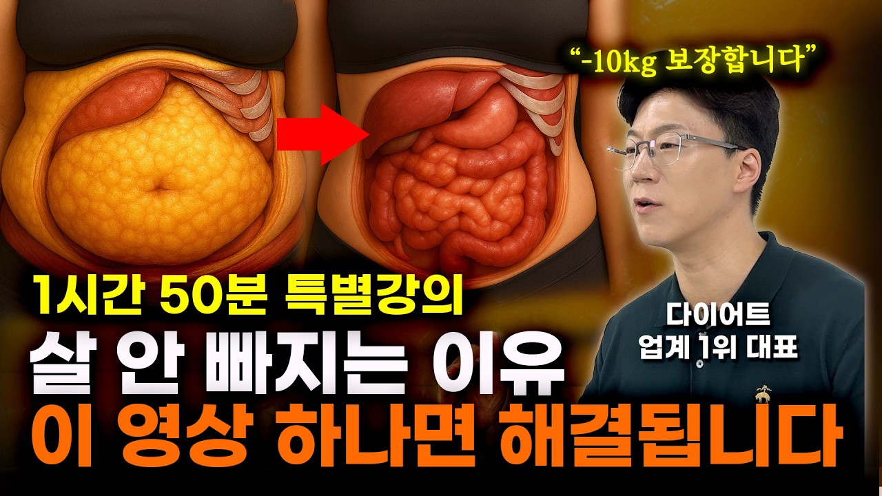다이어트 총정리 풀버전 | 식이섬유, 단백질, 지방 이렇게 섭취하세요. 생활습관, 마인드셋 이렇게 하세요.