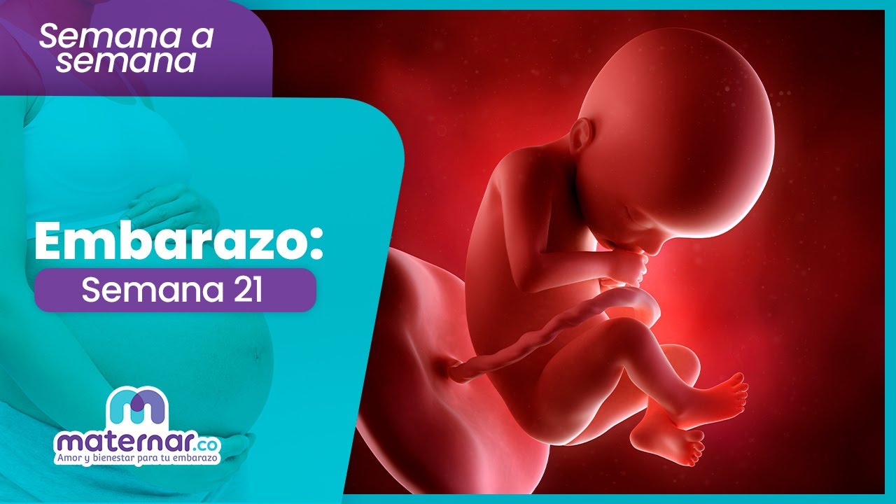 Semana 21 de embarazo: ¿Qué significan esos movimientos que sentirás? | Maternar.co