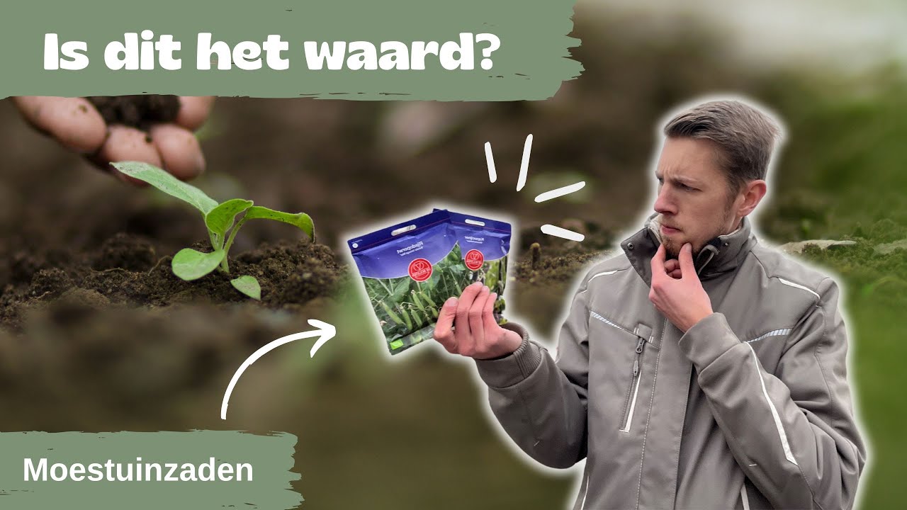 Zaden kopen en bewaren – Wel of niet biologische moestuin zaden bestellen?