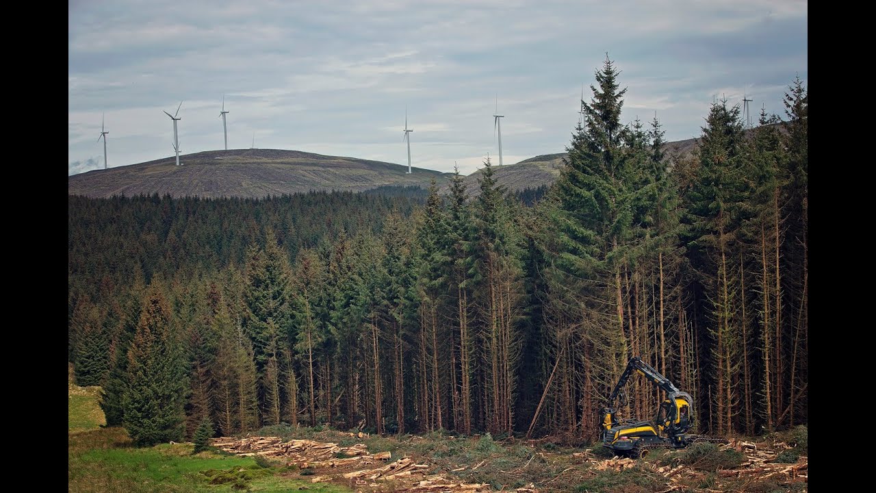 PONSSE forest machines logging | UK Demo | 2014