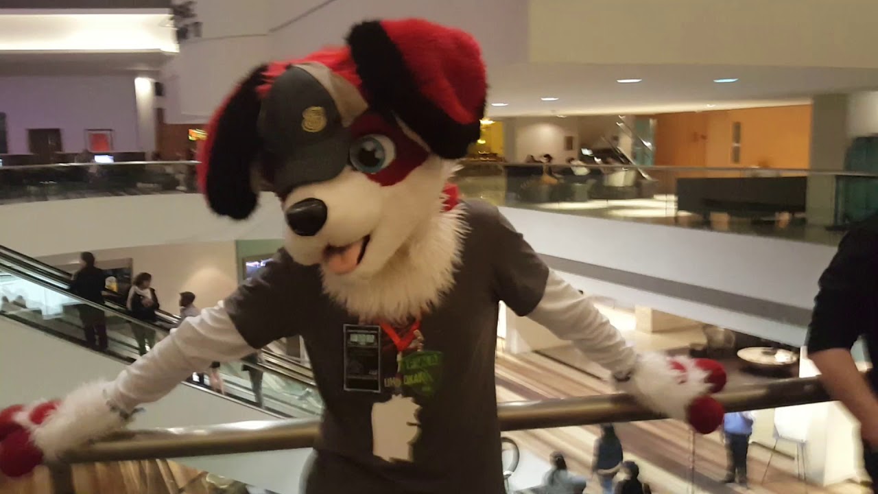 Meeting Beagle.In.Red For First Time