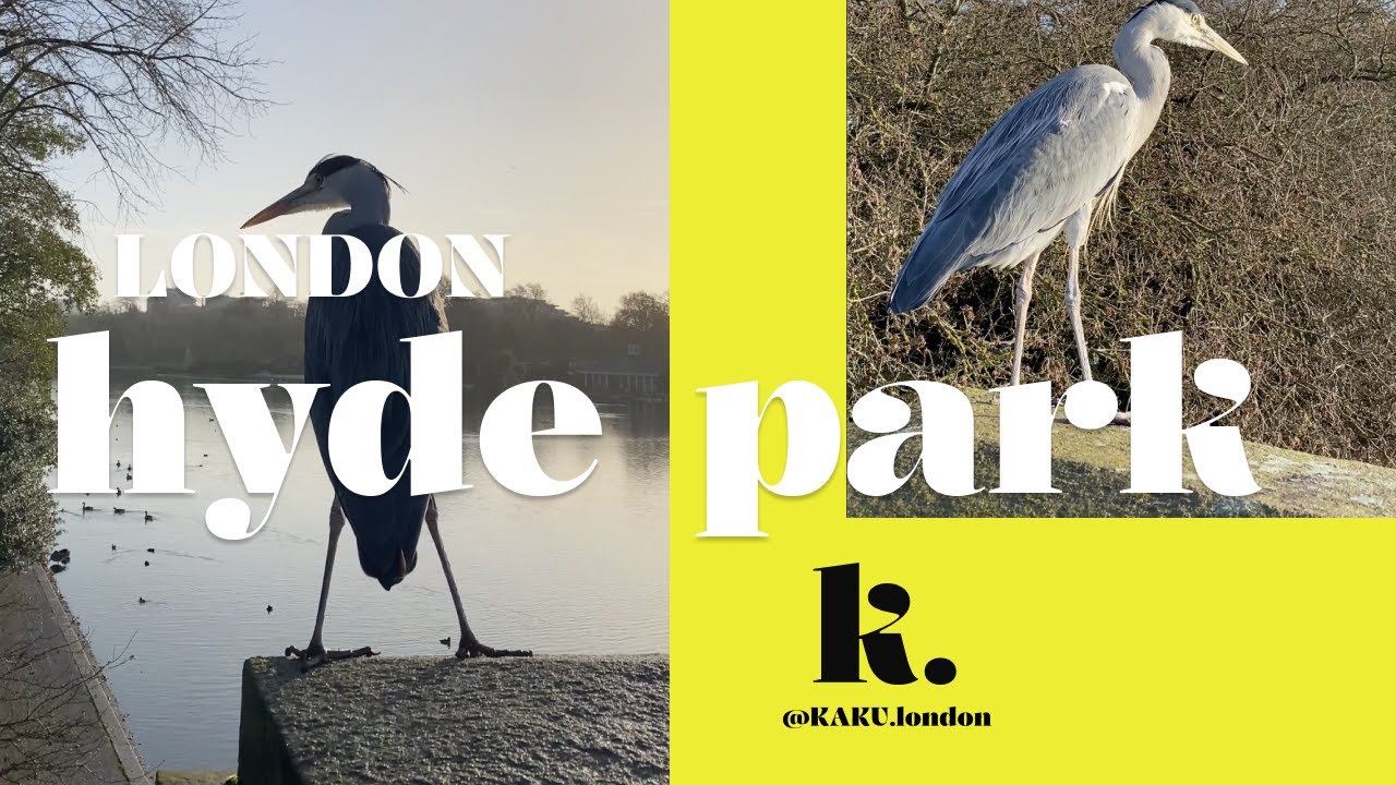 🌞🌸 London's Hidden Gems: Hyde Park, Bird Spotting 🌞🌸 | 4K HDR