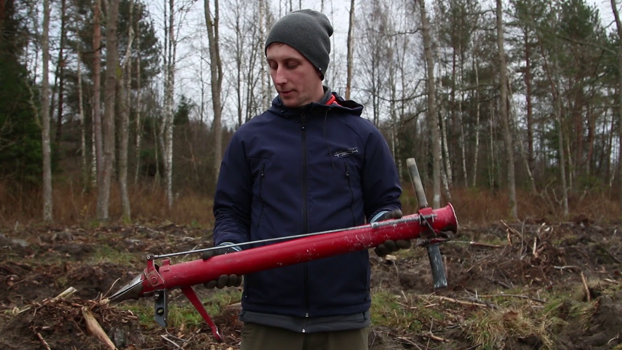Kociņu stādīšana cirsmā  |  Padomi meža īpašniekiem 🌳🪵
