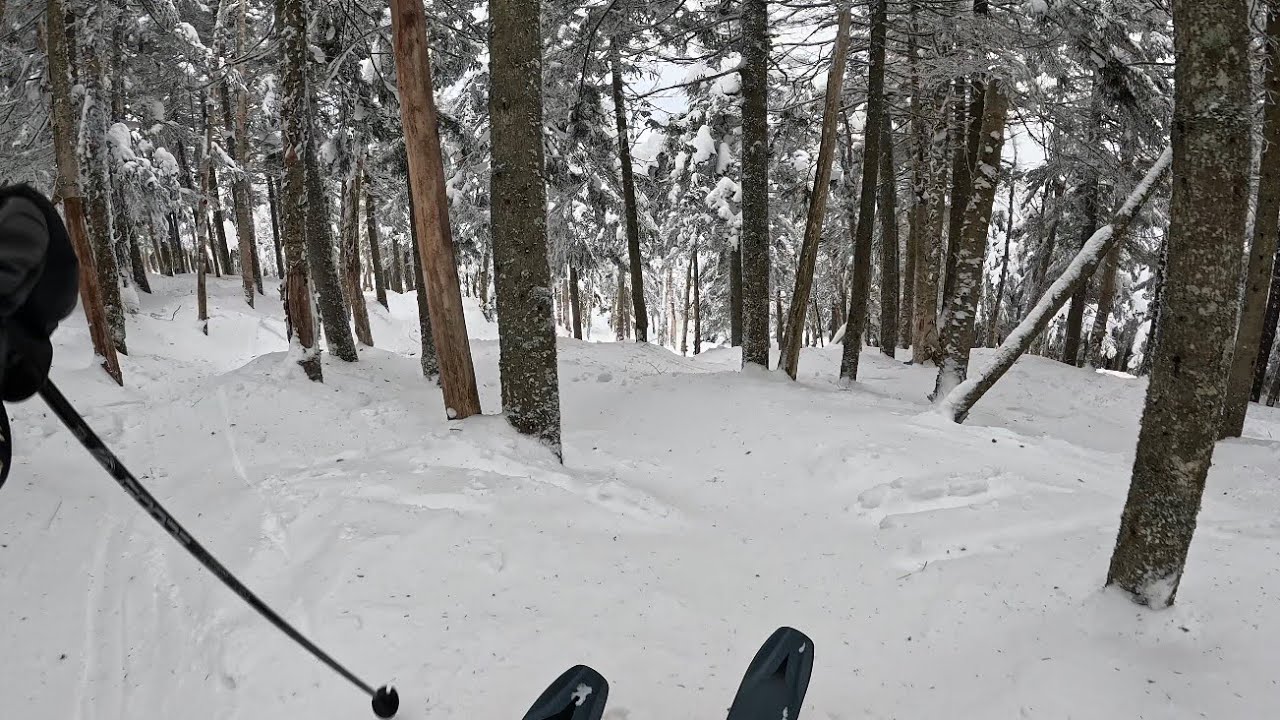 Mount Snow 2/24/26. 